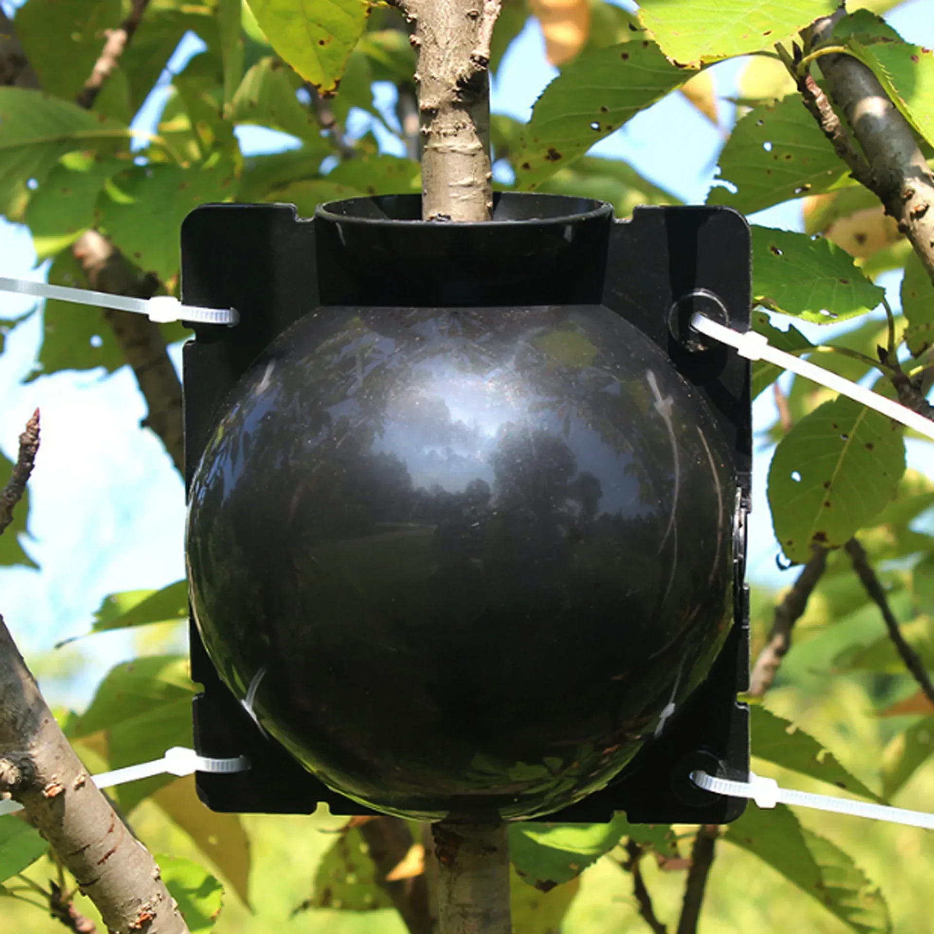 5PCS Plant High-pressure Grafting Box, Propagation Ball, Rooting Device, Easy To Operate, Firmly Installed