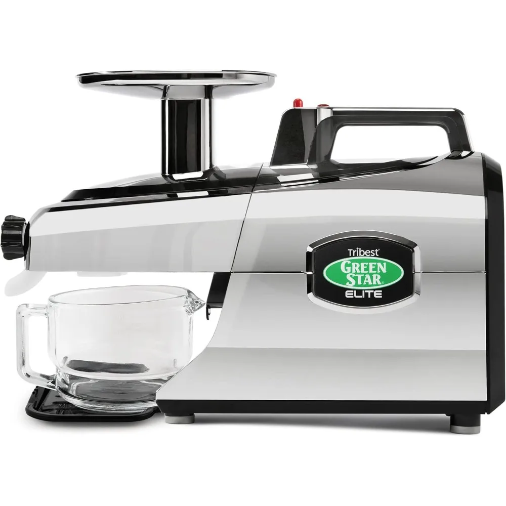 

150 Watts Twin Gear Cold Press Slow Masticating Juicer, Portable, Polycarbonate, Chrome