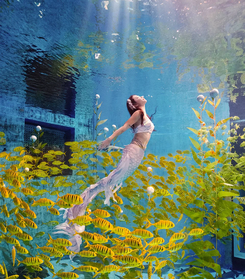 Kép 5: Tailored Nemzeti stílusú oceanarium Hableány Fürdőtrikó lövöldözős high-definition Hableány Bő Elfátyoloz Barackfa Farok búvárkodás szabadon búvárkodás