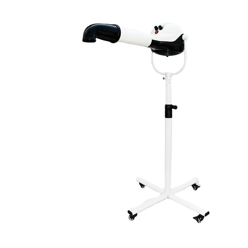 

Фена для волос с отрицательными ионами