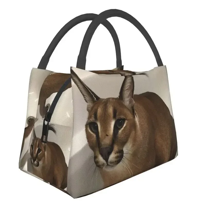 

Floppa Cute Meme Thermal Insulated Lunch Bags Funny Caracal Cat Resuable Lunch Container for Work Travel Storage Meal Food Box