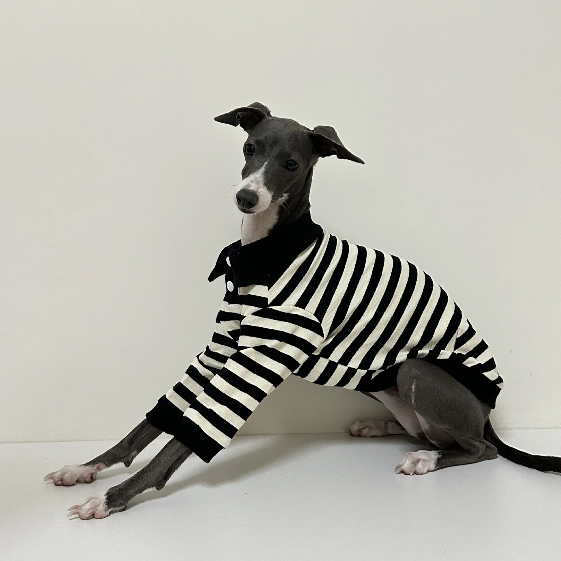 

Classic Style Design Black And White Fashionable Striped Pet Polo Shirt For Italian Wellington Dog And Poodle Dog Clothing