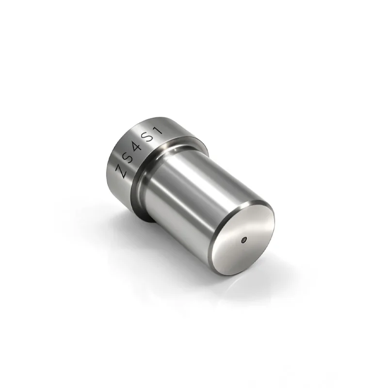 ZS4S1 Automotive Diesel Engine Fuel Nozzle Used For Maintenance And Replacement OF Engine Fuel Supply System Component LI1142