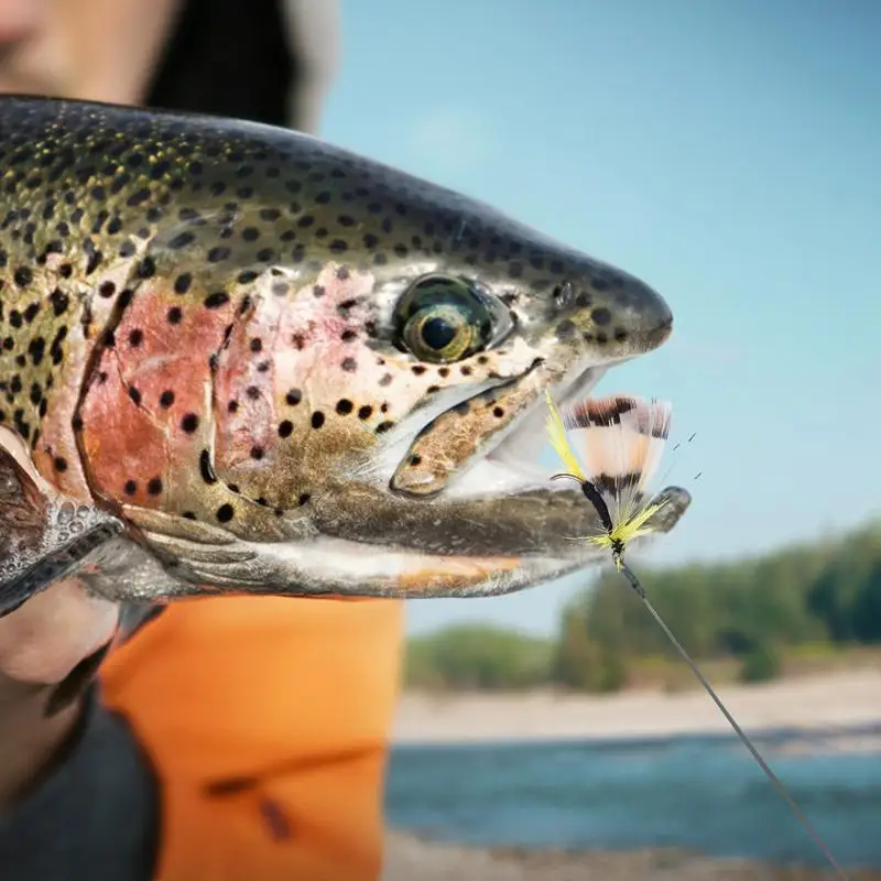 Surtido de señuelos de pesca con mosca, cebo atado a mano para trucha, suministros de pesca con mosca para peces de agua dulce, lubina, pez plano, salmón