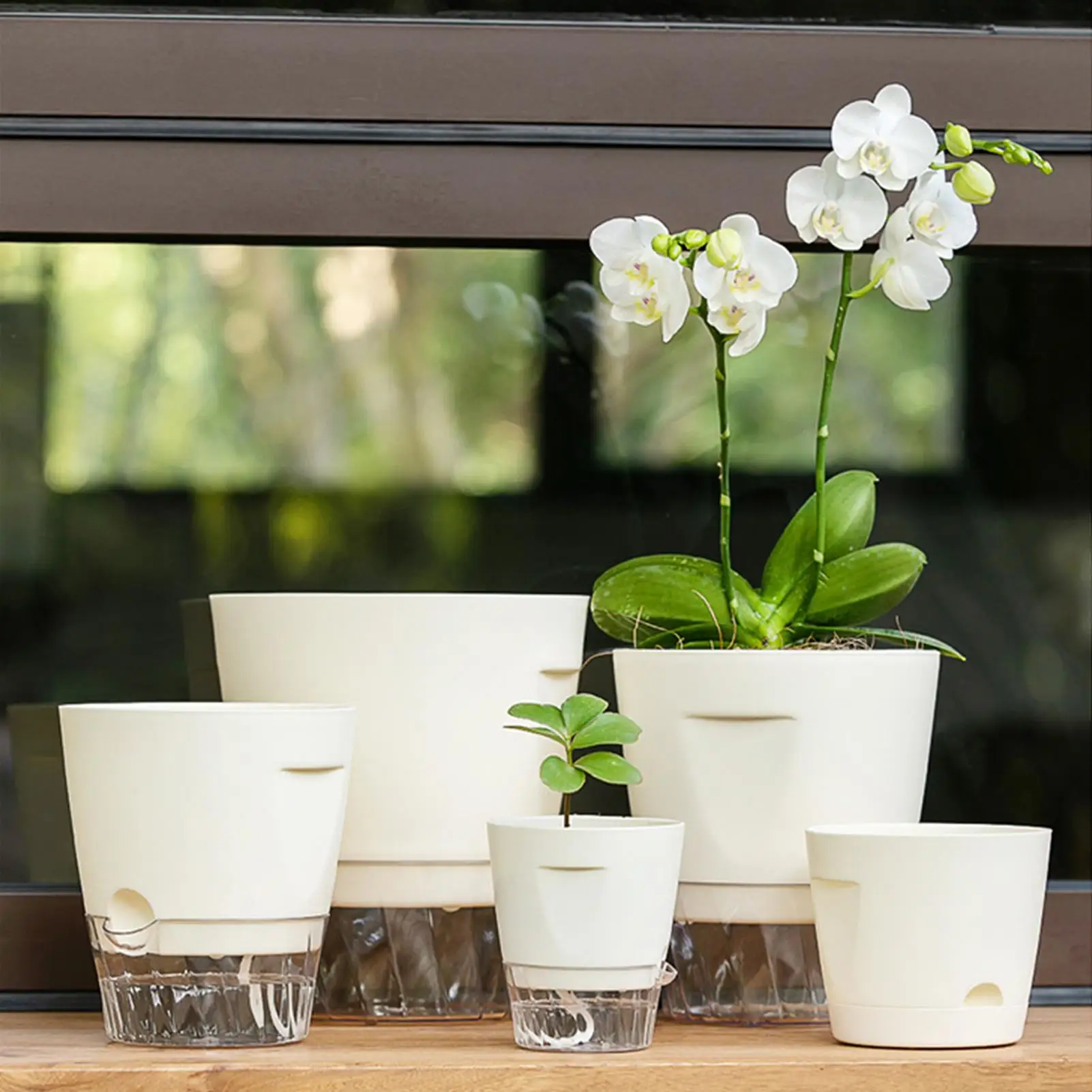 

Маленькие самополивающиеся горшки, 5 шт., гидропонные чашки-кашпо с индикатором уровня воды для дома, гостиной, балкона, патио