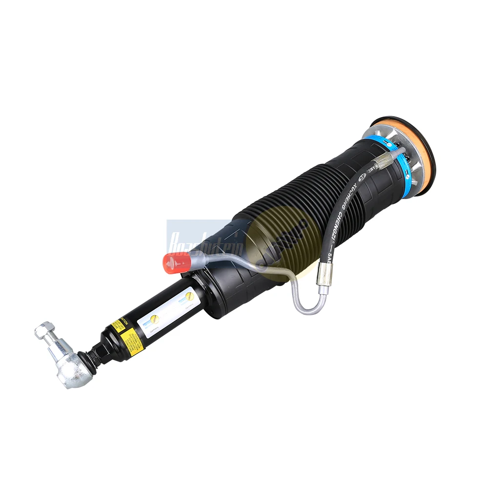 Boashutein Front Le…