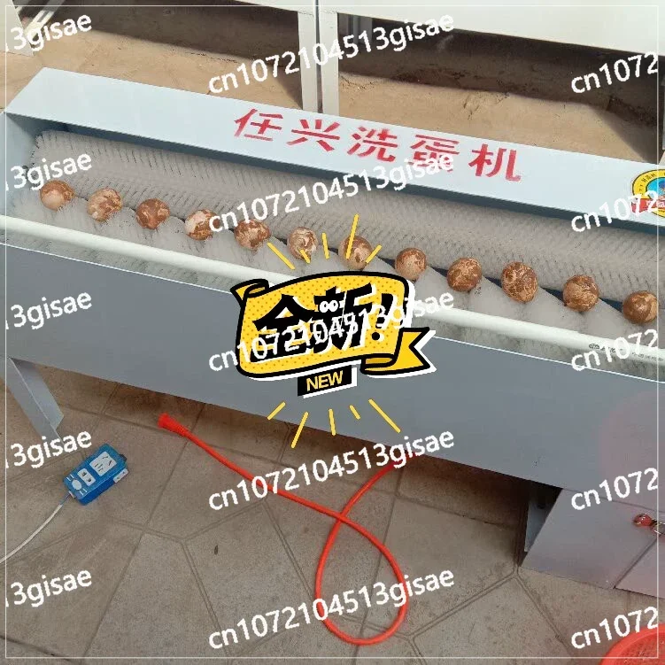 

Автоматический инструмент для очистки яиц из нержавеющей стали, инструмент для яиц