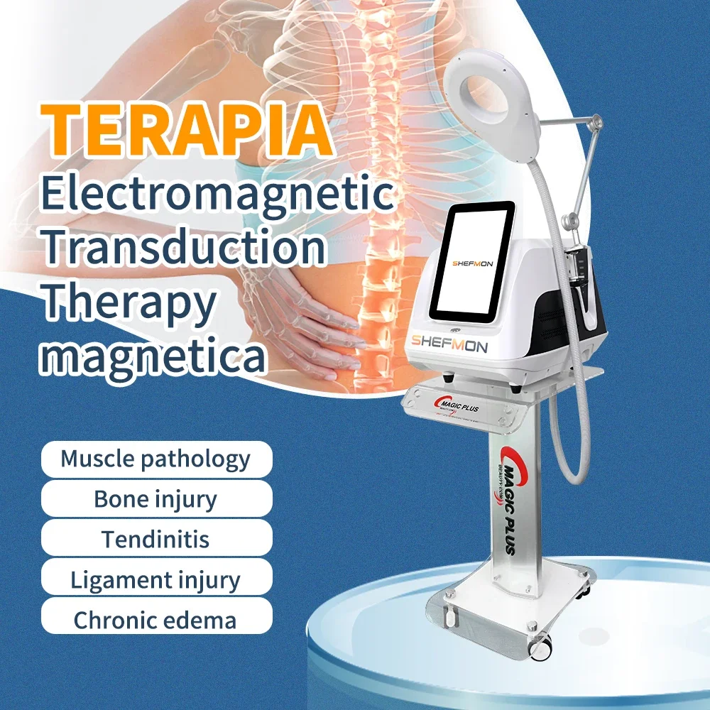 Salon Use Magnetic Therapy Machine Ring Physiotherapy Magnetic Therapy Reduces Swelling PEMF Magnetic Therapy Device