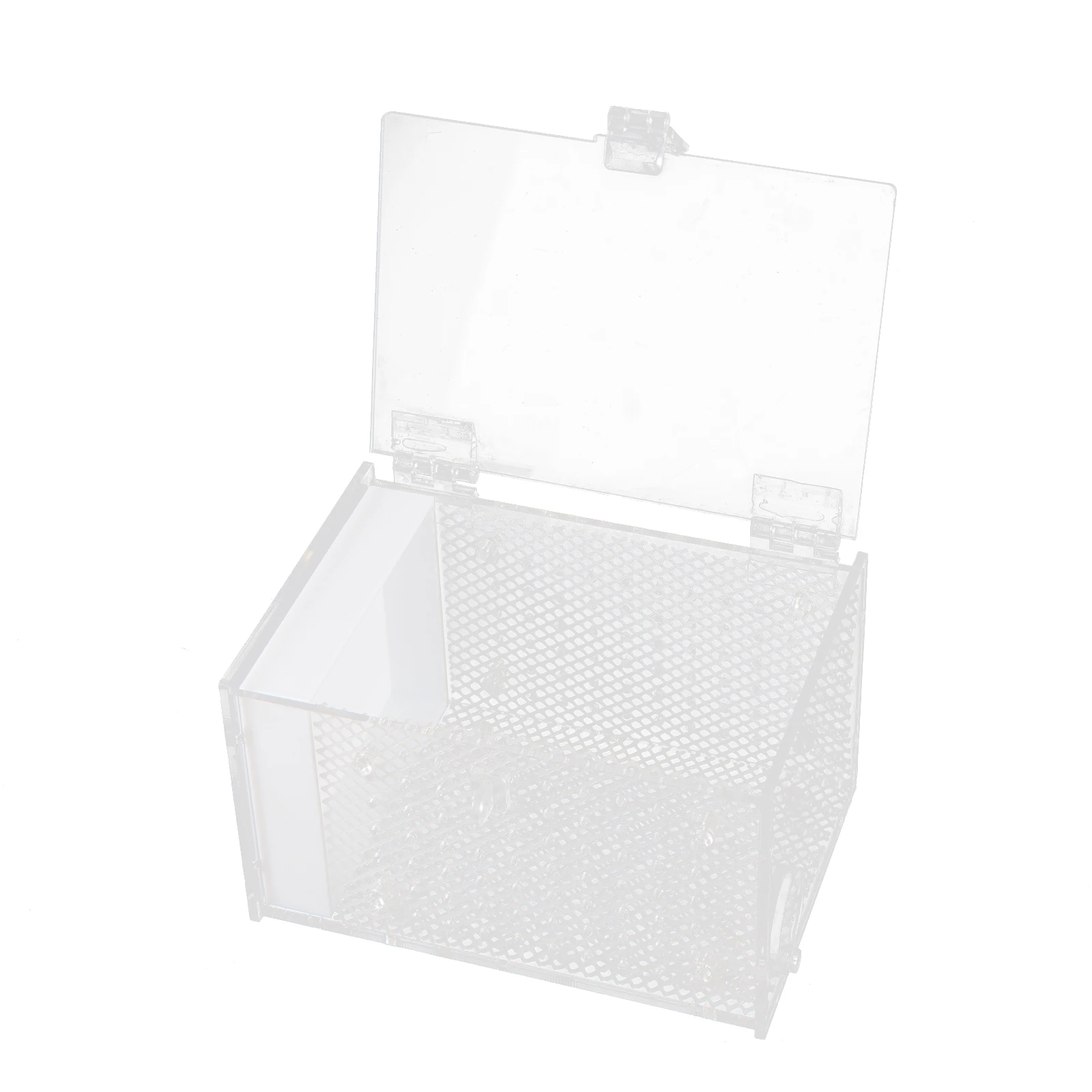 

Acrylic Insect Box Praying Mantis Feeder White Spider Case Visible Observation Pet Display Ventilation Holes Moisture Resistant