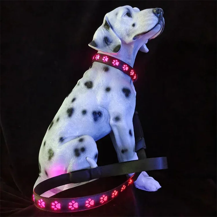 Pet 7 Colour LED Light Up Collar and Leash Set Anti Lost USB Charging Outdoor Dog Walking Decorative Dog Collar