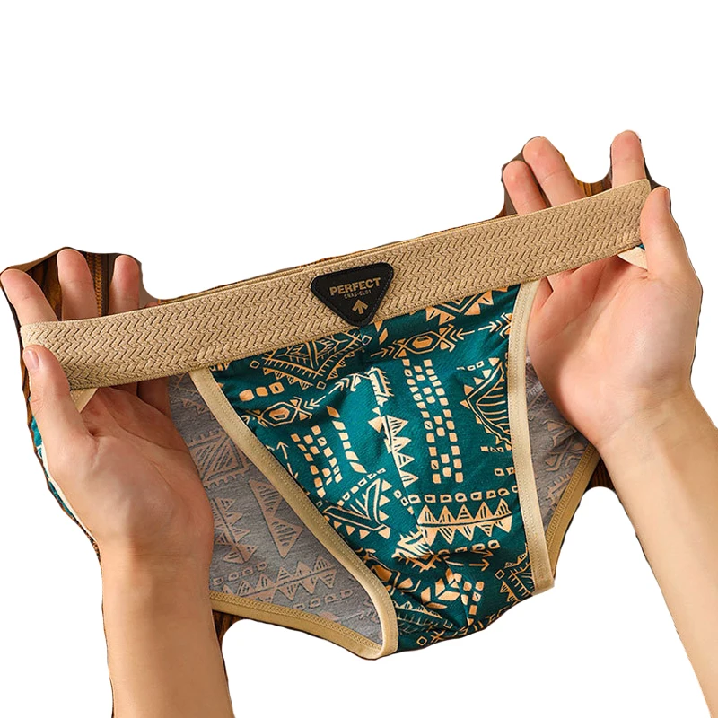 Cotton Retro Men's Underwear Soft Comfortable Personalized Briefs Mid-low Waist Triangle Summer Thin Fashion Breathable Panties