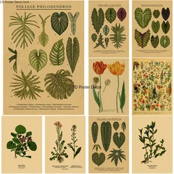 Botanical Illustration Poster Plant Leaf Flower Kraft Paper Posters Vintage Home Room Bar Cafe Decor Aesthetic Art Wall Painting