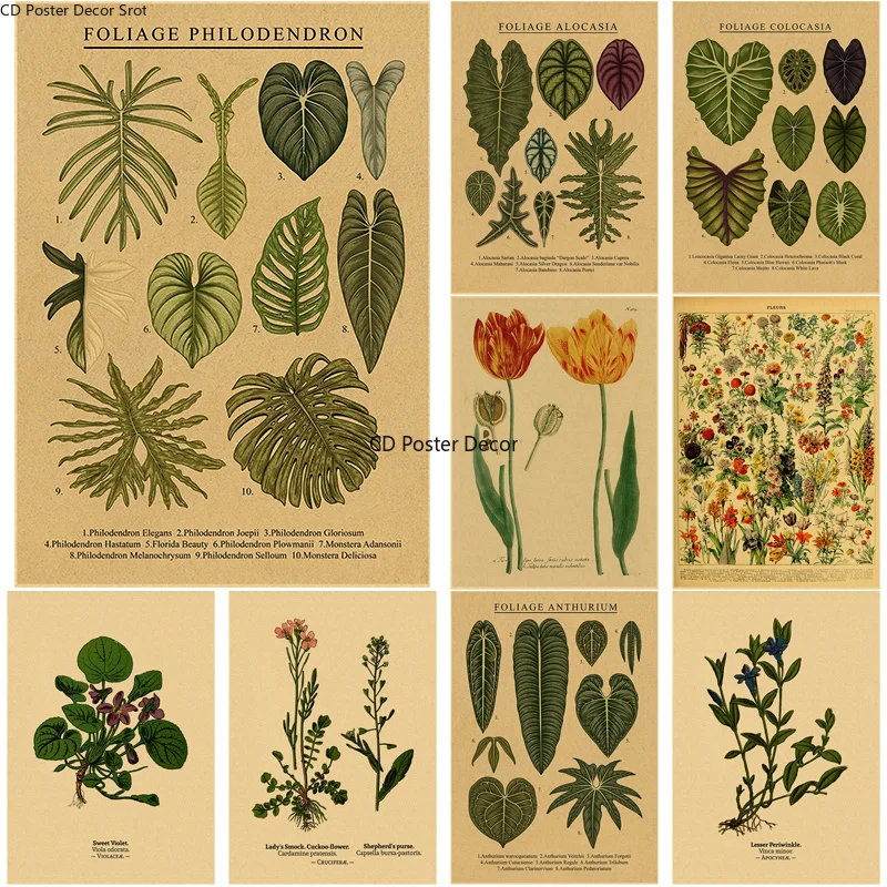 Botaniczny plakat ilustracyjny Roślina Liść Kwiat Kraft Paper Plakaty Vintage Home Room Bar Cafe Decor Estetyczna sztuka Malarstwo ścienne
