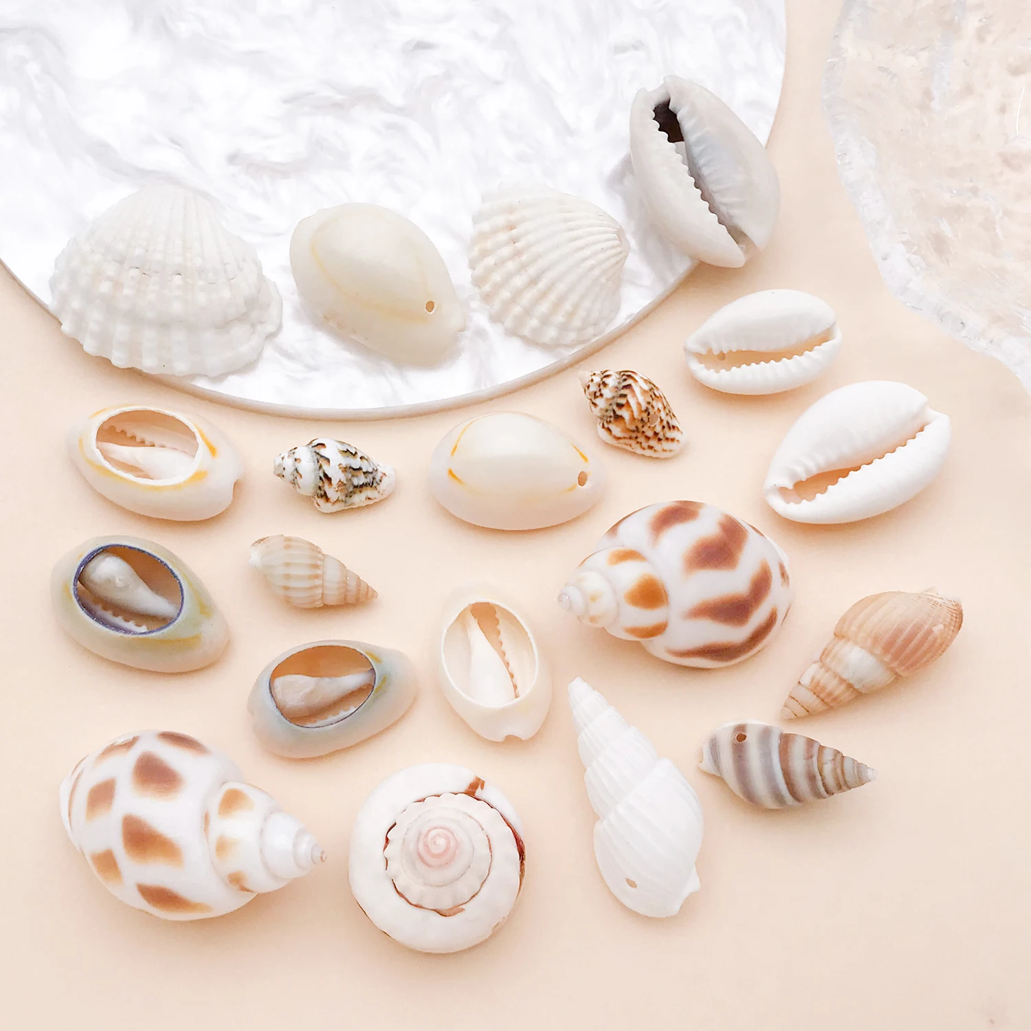 20g Natural Sea Shell Charms Pendants Tiny Conch Cowrie Shells Beads For Jewelry Making Accessories DIY Necklaces Bracelet