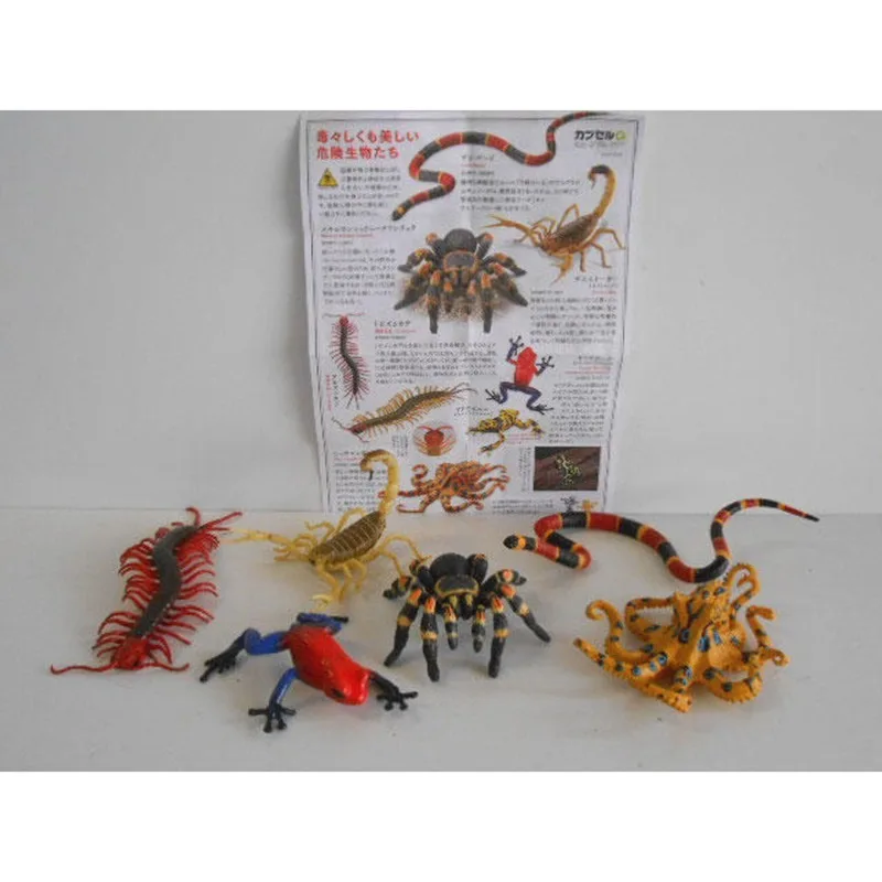 الحيوانات الخطرة Gashapon Centipede العنكبوت محاكاة الإبداع نموذج عمل الشكل