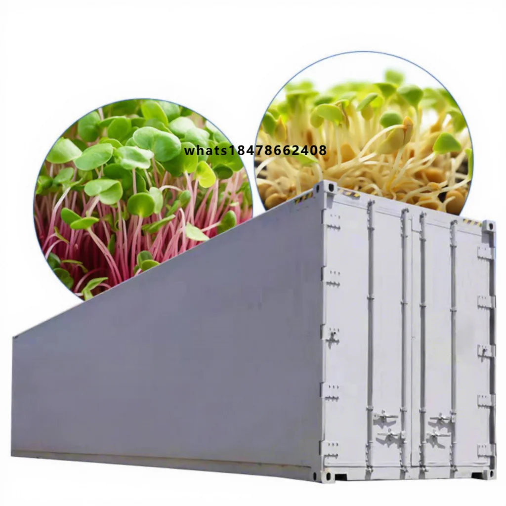 ORME Electric Automatic Mung Bean Alfalfa Sprout Equipment Lettuce Seed Sprout Growing Germination Machine