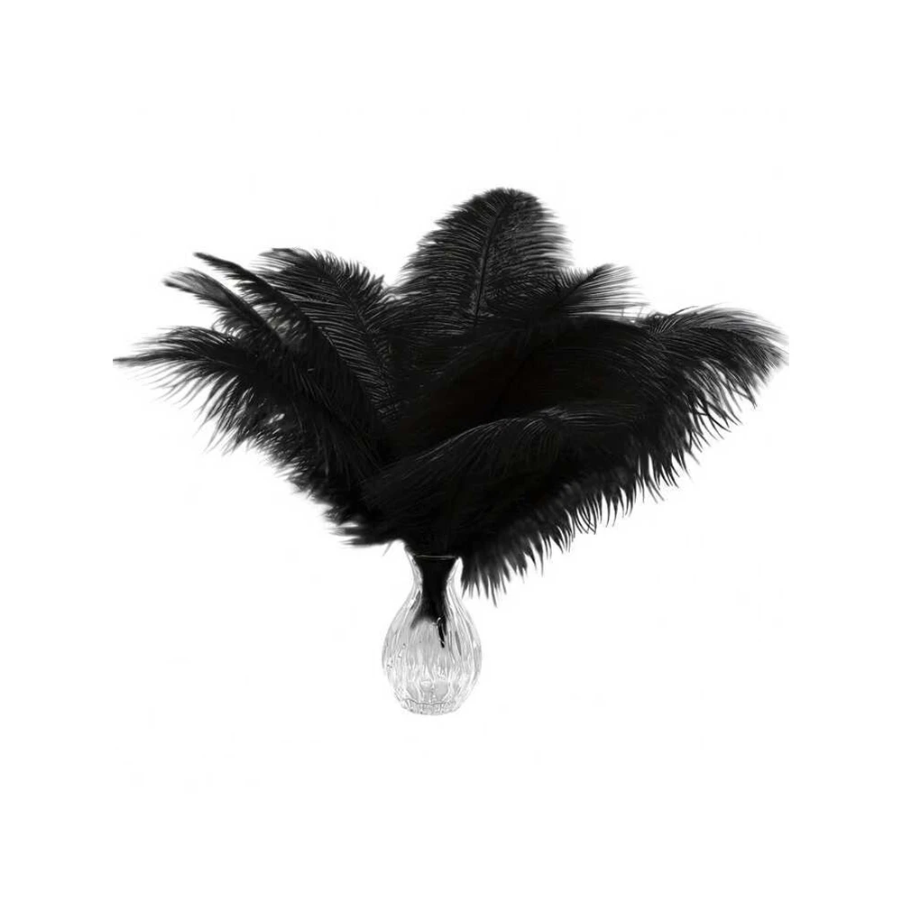 10PCS Natural Ostrich Feather 15-55cm Black Feathers for DIY Crafts Wedding Party Table Centerpiece Carnival Headdress Decor