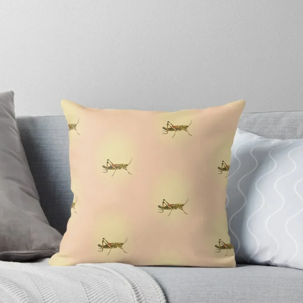 

Retro Grasshopper Bug Pattern Throw Pillow Christmas Cushion For Home luxury decor pillow