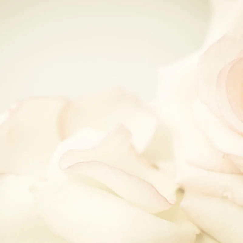 

4PCS 112mm Off Road Buggy Tires Wheel 17mm Hex Hubs for 1/8 RC Racing Car 4WD Nitro HPI HSP BAZOOKA CAMPER Kyosho ZD Hongnuo