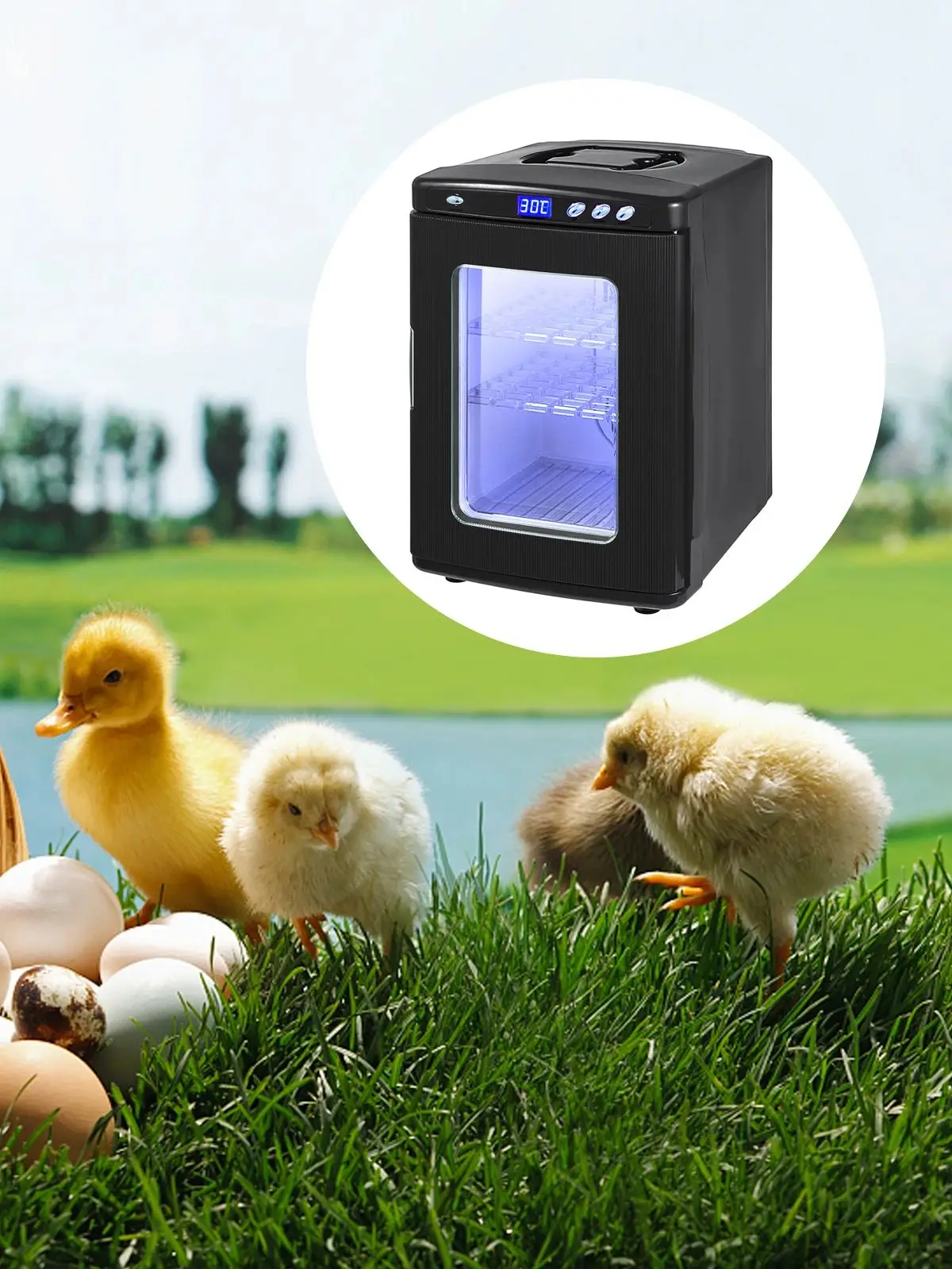 SucceBuy 25L Reptielenincubator Digitale eierincubator Wetenschappelijke laboratoriumincubator Koeling en verwarming 5-60 ° C Werk voor kleine reptielen - afbeelding 2