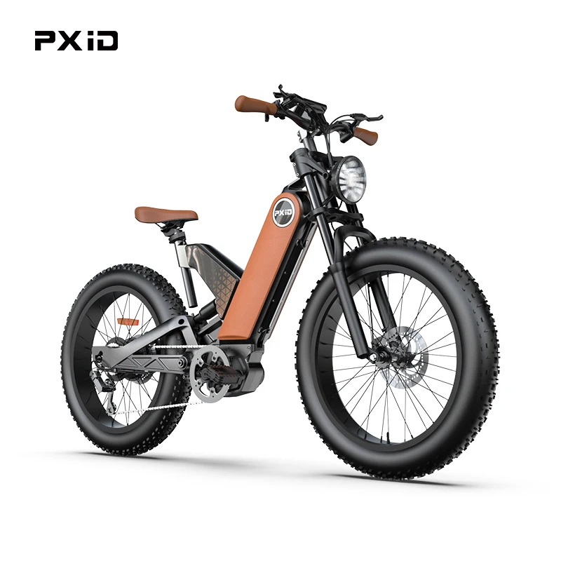 Retail Price- Made in China 48V20Ah 20 Inches Fat Tire Electric Bike Bicycle Magnesium Alloy Ebike