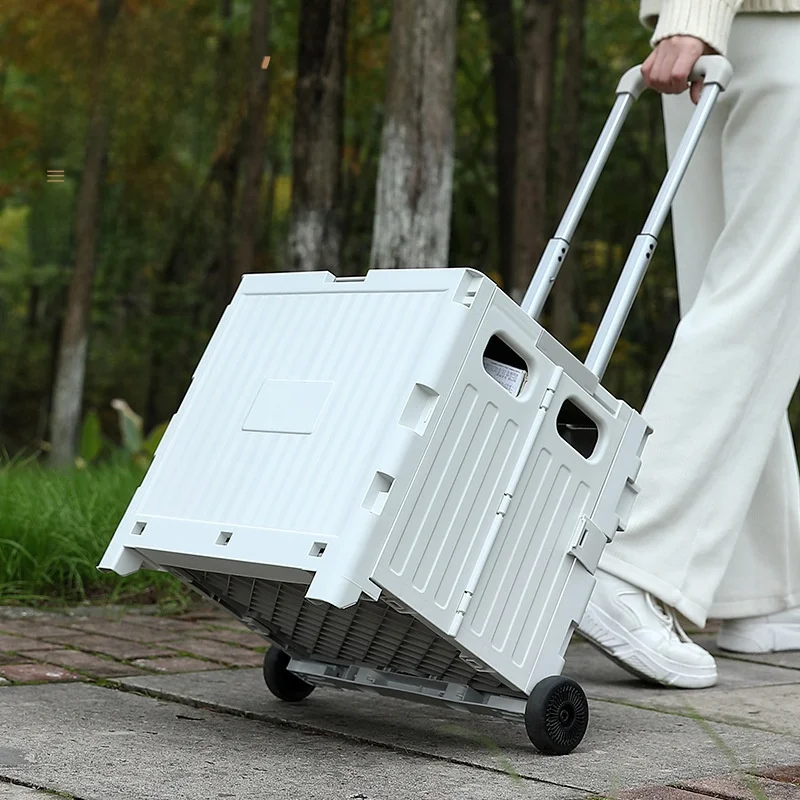 carrello-della-spesa-portatile-leggero-e-pieghevole-per-uso-domestico-per-acquisto-di-verdure-con-design-stampabile-comodo-da-riporre-veicolo-multiuso