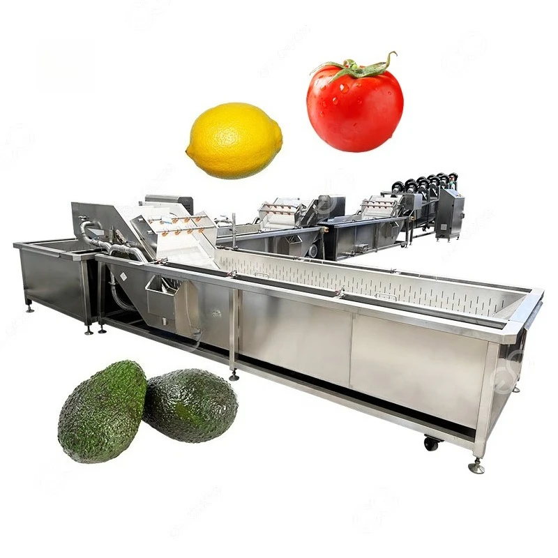 Fruit Vegetable Purifier Washer Cleaner Slice Young Coconut Washing and Cutting Process Line Machinery for Berries Washing