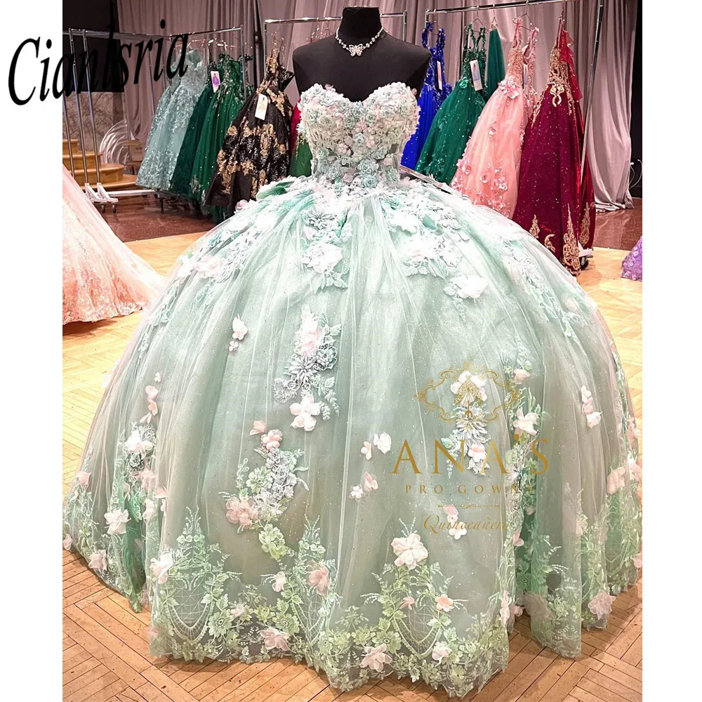 Mint Green Quinceanera Dresses 2023 Charro Florals Ball Gown Prom Dress Masquerade Sweet 15 Year old Birthday vestidos de Xv