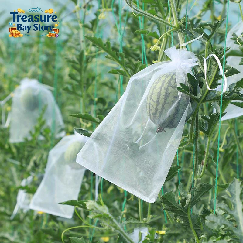 50Pcs Fruit Protection Mesh Bag Anti Bird Anti  Garden Grape Plant Protective Cover view 5