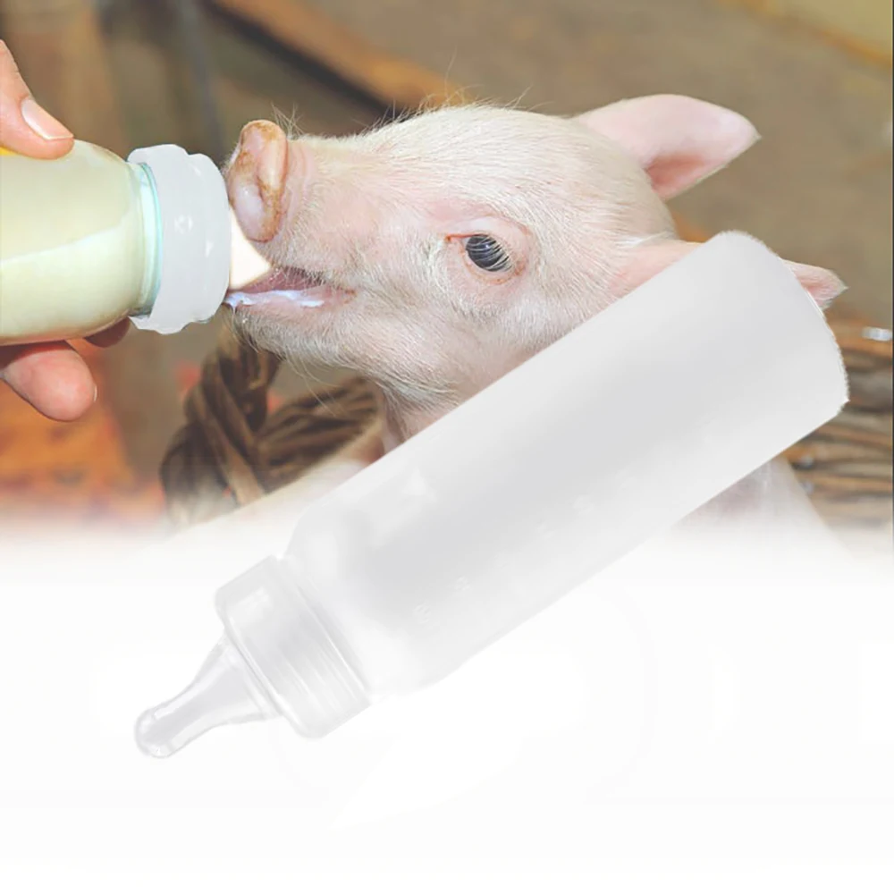 250ml Small Animal Drinking Milking Bottle With Graduation Easy Measuring Plastic For Weaning Pig Sheep Dog Kitten Nursing