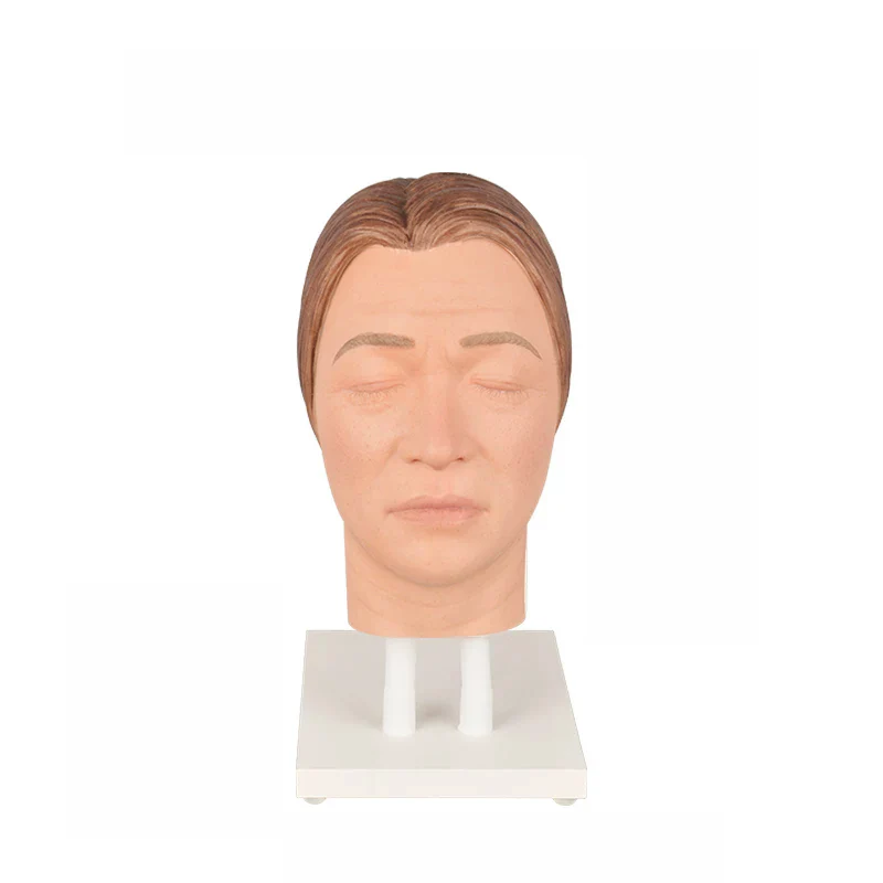 Female/Male Realistic Injection Mannequin Face Training Model Facial Injection Silicone Mannequin Head Injection Simulator