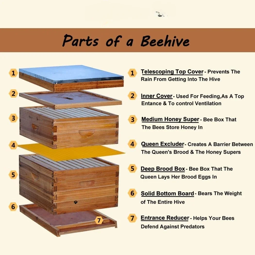 10-Frames Complete Beehive Kit, 100% Beeswax Coated Bee Hive Includes Beehive Frames and Beeswax Coated Foundation Sheet