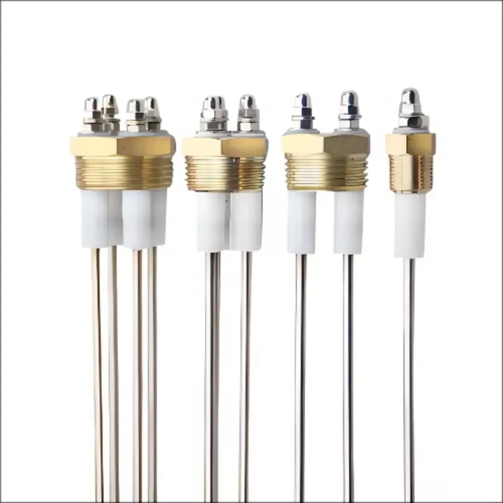 Hot Sale G1/2 G1/4 G3/8  Inch Customize Length Multi- Rods Water Level Electrode Probe Sensor for Boiler Steam