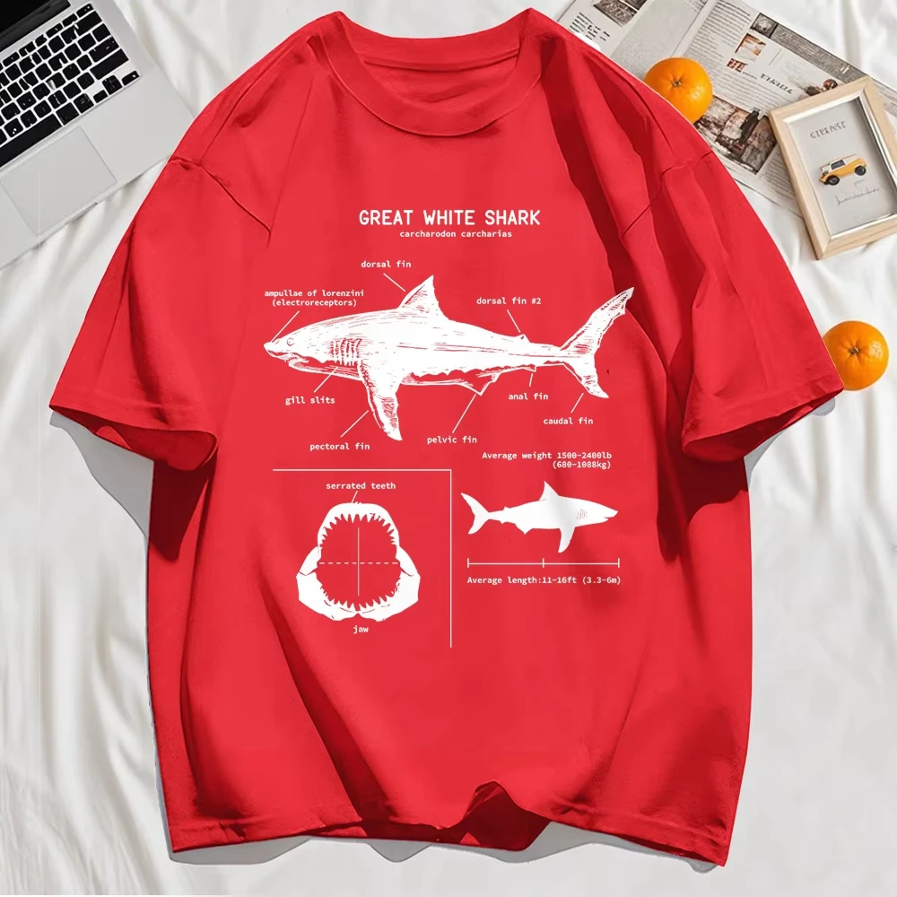 Pure Cotton T-Shirt Unisex Vintage Science Loose Crew Neck Casual Short Sleeve Tee