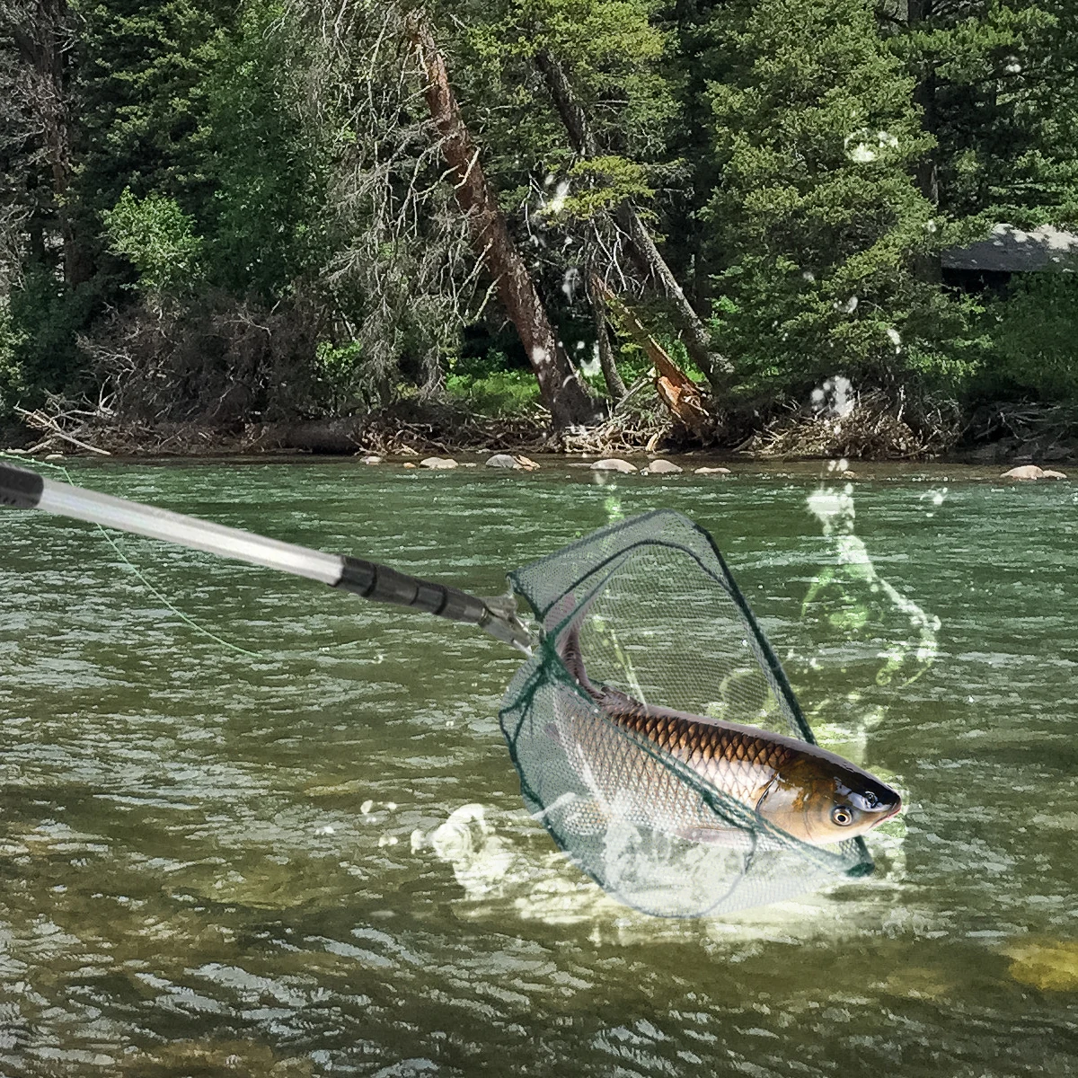

1Pcs New 190cm Telescopic Fishing Net for Salmon Fly Carp Catfish Trout Floating Landing Net Easy Catch & Releasee Foldable