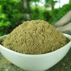 Wormwood Powder for Aromatherapy, Incense Powder, Disinfection Wormwood Spice, 250 g