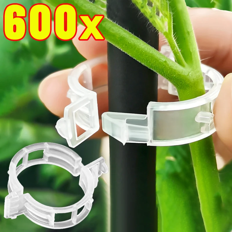 Wholesale Plant Support Clips Reusable Plastic Plant Vine Protection Grafting Fixing Tools for Vegetable Tomato Garden Supplies