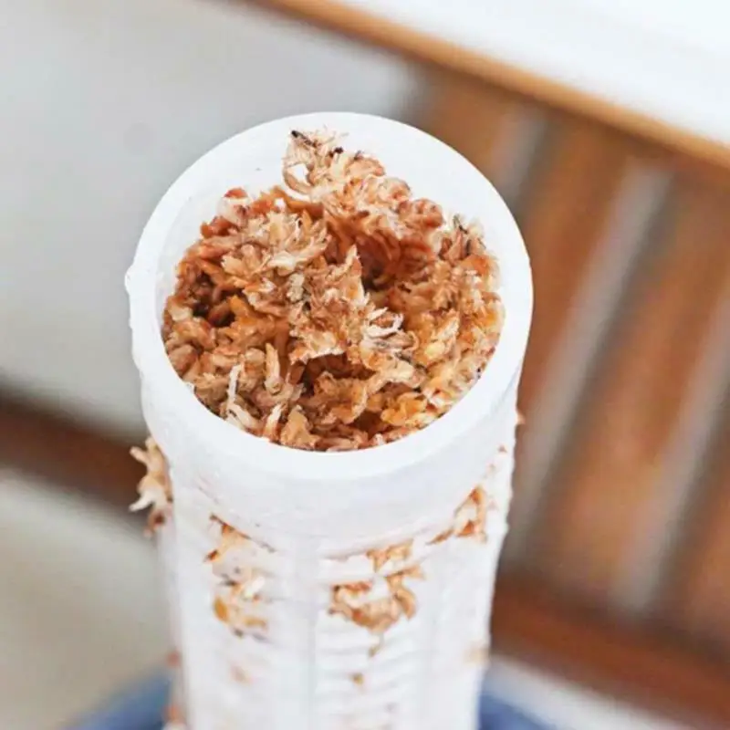 50 سنتيمتر تسلق النبات عمود تسلق النبات القطب Sphagnum موس عصا عمود حامل المياه موس العمود دعم النباتات الزهور دعم