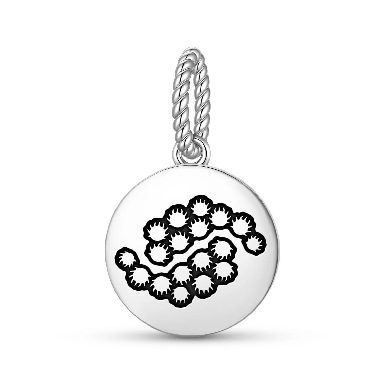 

Flowers Nasturtium Pendant 925 Sterling Silver Symbol Charm Bead for Women Bracelet Necklace Jewelry Trendy