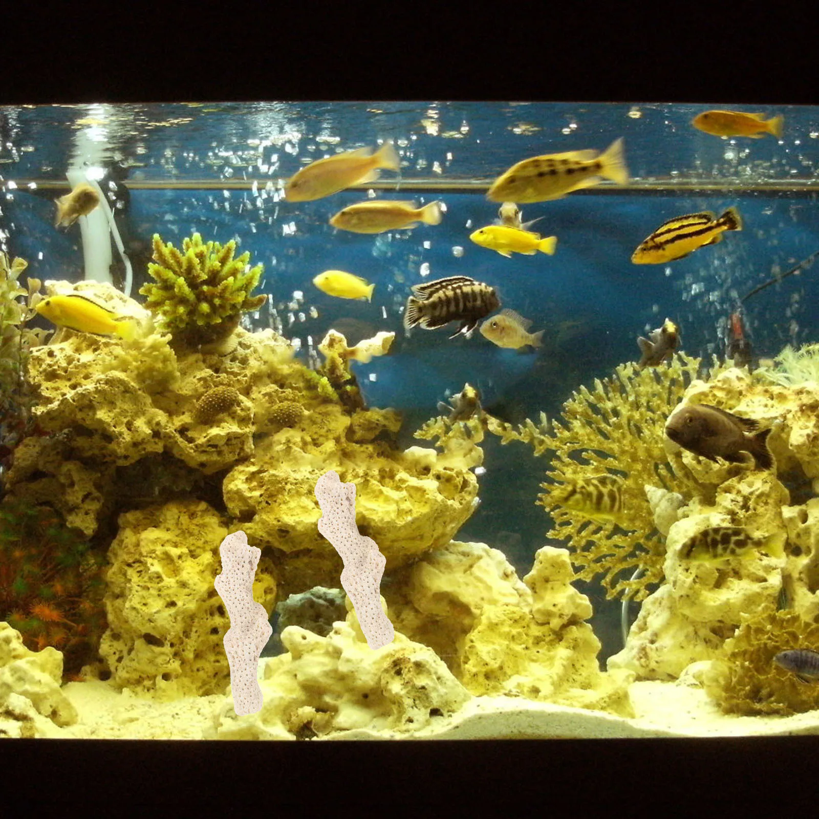 

1Set Coral Bone Filter Media Natural Aquarium Substrate for Fish Tank Pond Filtration Reusable Aquarium Filter Material