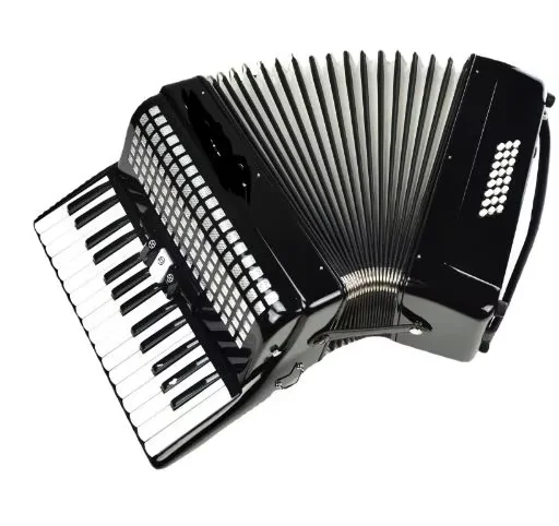30-Key 24-Bass Piano Accordion for Beginners, Compact Portable Hand Accordion with 2 Voices, Includes Case & Straps