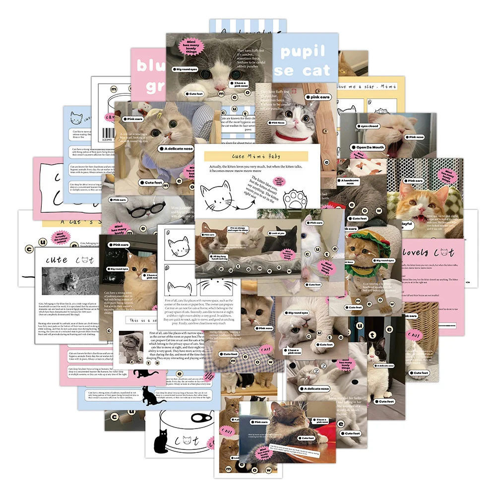 10/30/60pcs Korean Ins Style Cat Meme Stickers Cute Aesthetic Sticker DIY Scrapbook Luggage Phone Case Kawaii Kitten Decals Gift - view 3