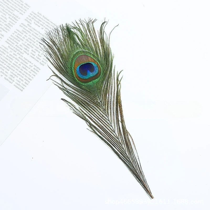 الجملة الطاووس ريشة زهرية تشكيلة زهور المرحلة زي عيون كبيرة اليدوية DIY مجوهرات الزفاف الديكور الطاووس الشعر #2