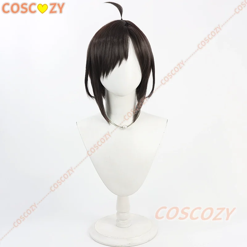 Fate fgo misterioso ranmaru x peruca cosplay misterioso ranmaru x 30cm curto marrom escuro peruca resistente ao calor cabelo sintético dia das bruxas