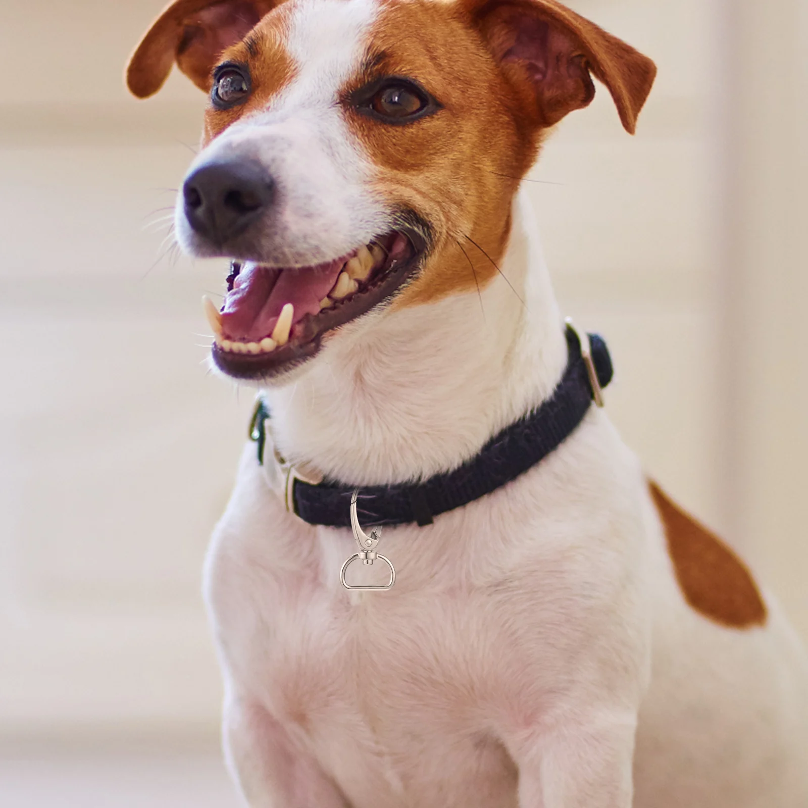 

Dog Buckle Ring Set Zinc Alloy Collar Clip Pet Tag Clips for Collars Round Rings Lightweight Anti Rust Dog Accessories