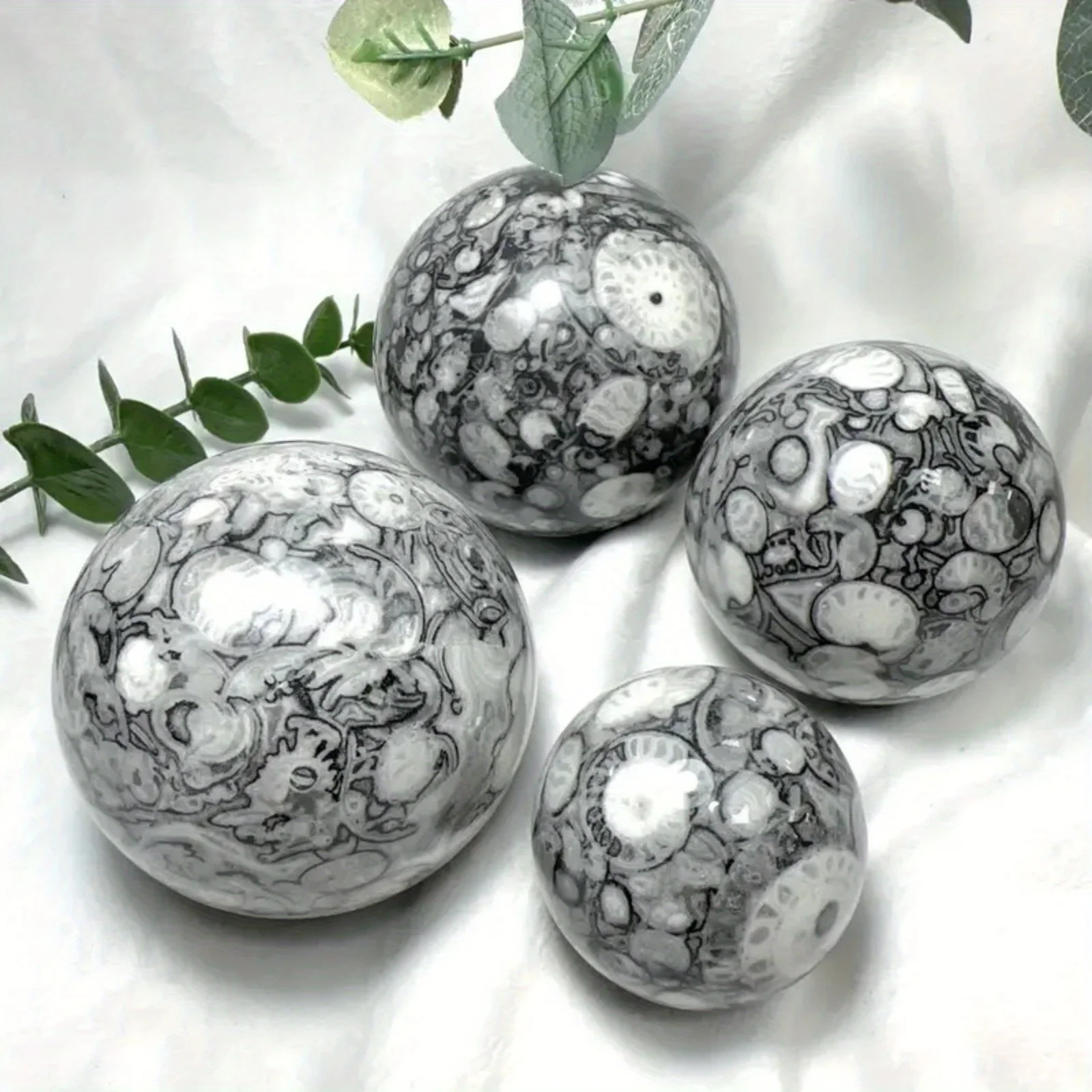 1pc Polished Black & White Shell Fossil Sphere - Thousand Eyes Stone Sphere Quartz Polished Sphere