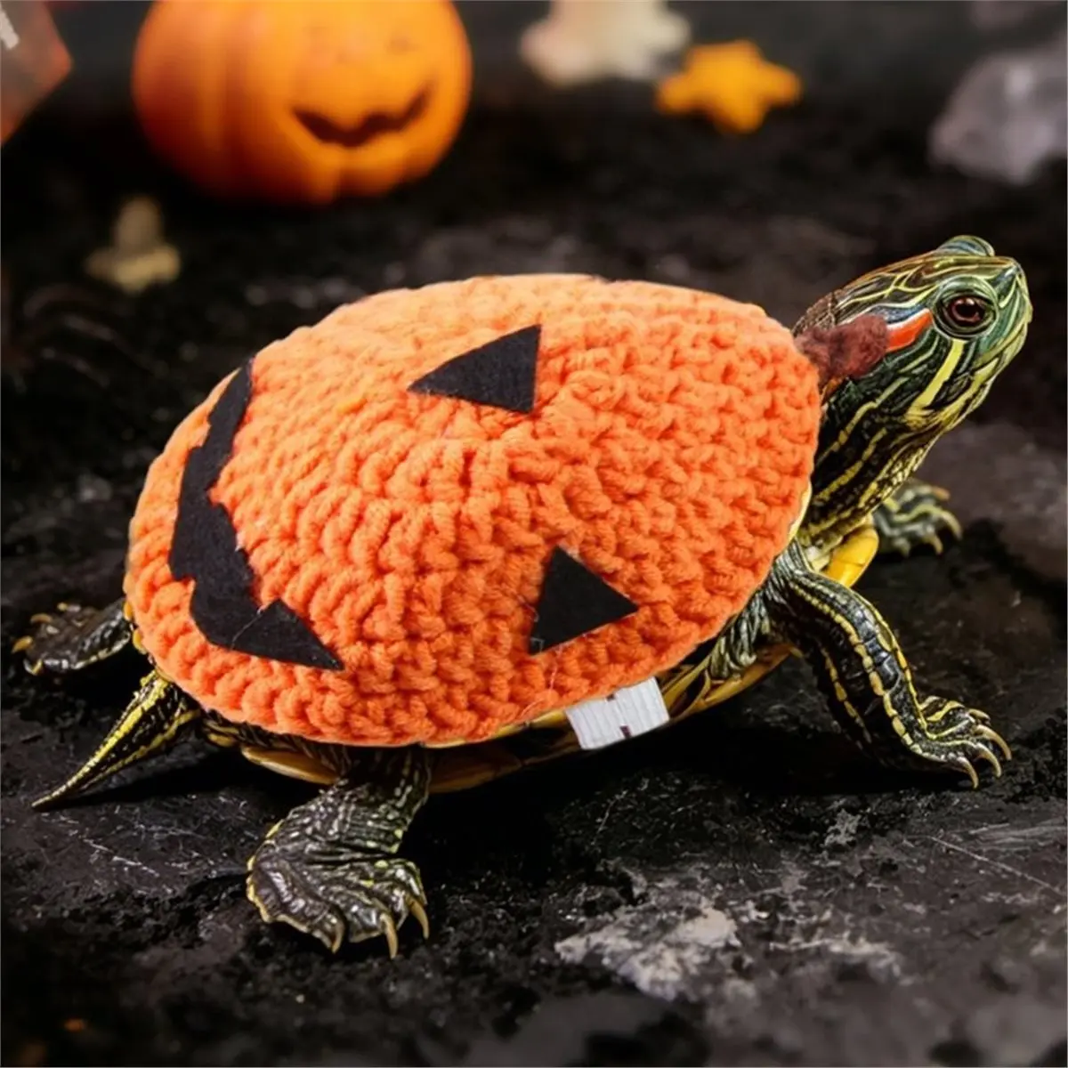 ABDD HOT  Halloween Pumpkin Turtle Clothes Funny Pet Tortoise Costume Cute Warm Outfit for Aquatic Terrestrial Turtles S
