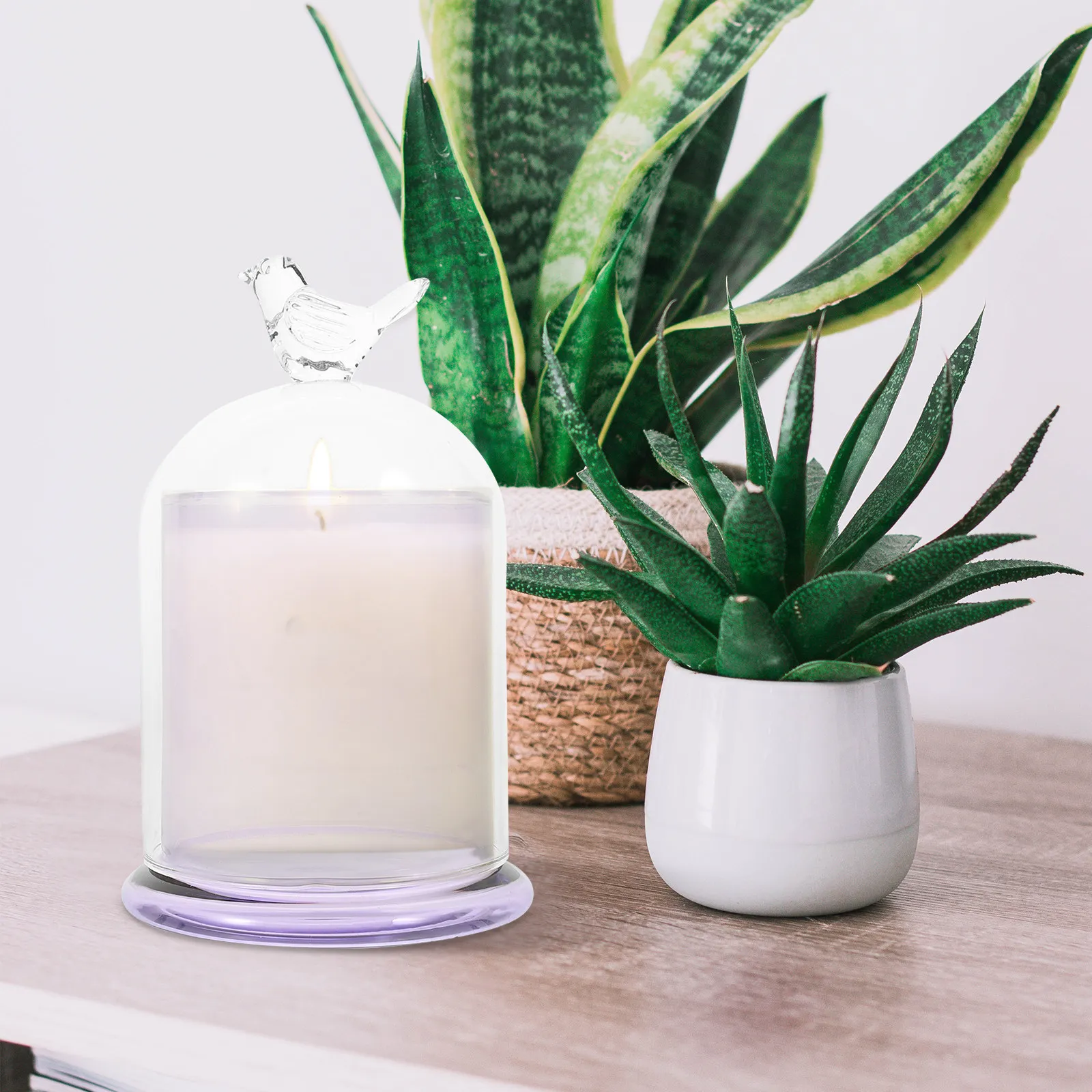 1Set Glass Cup Aromatherapy Dome Decorative Holder Modern Style Household Cloche Glass Cover for Home Office