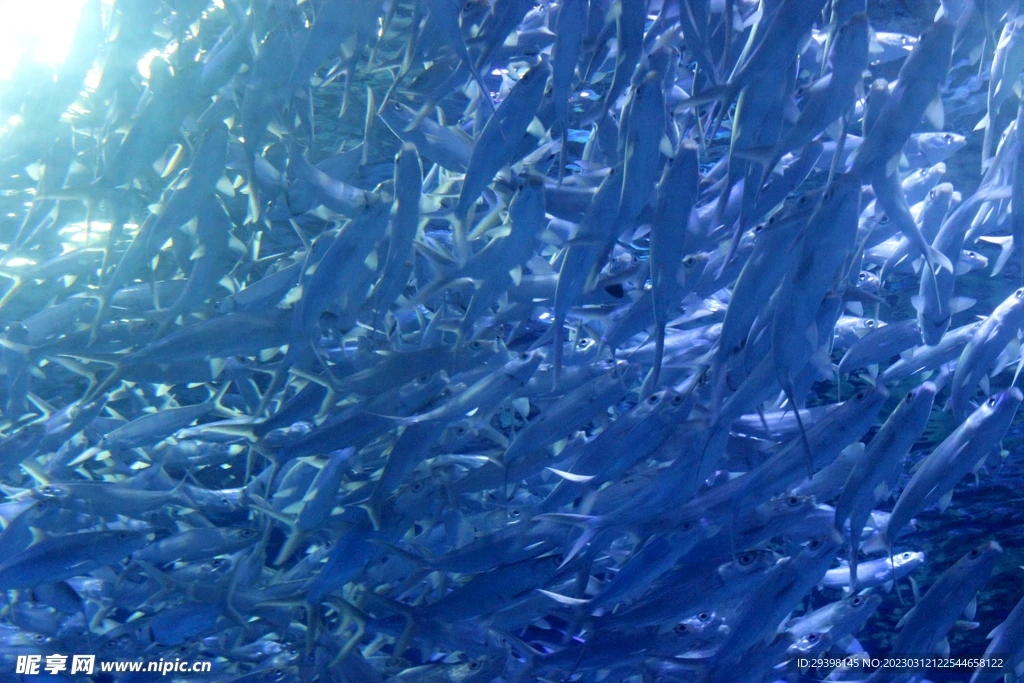 

Бесколлекторный мотор Rocket-RC MINI 1525 с датчиком 13.5T 17.5T 21.5T 25.5T для радиоуправляемых машин 1/28 1/24 Mini-Z Kyosho Mr03 Pro