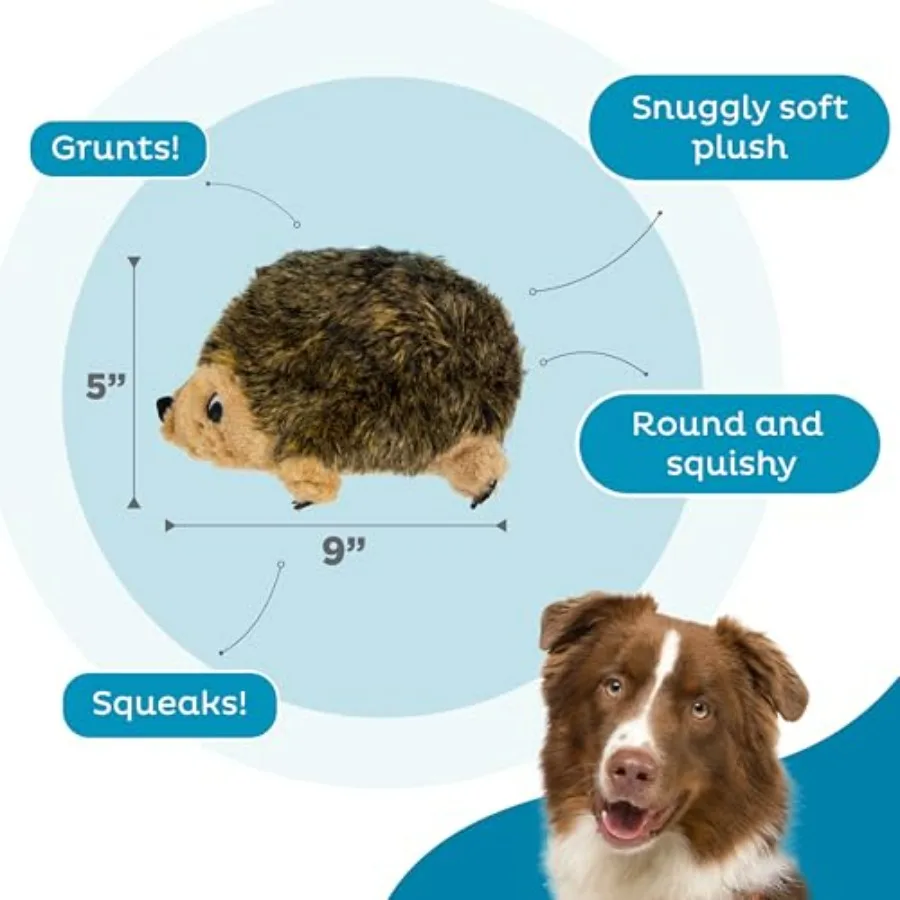 description